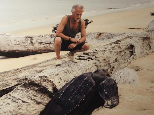 Tartaruga liuto al Parco Nazionale di Nyonie, morta non essendo riuscita a raggiungere il mare
