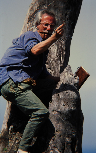 A volte devi arrampicarti su un albero.