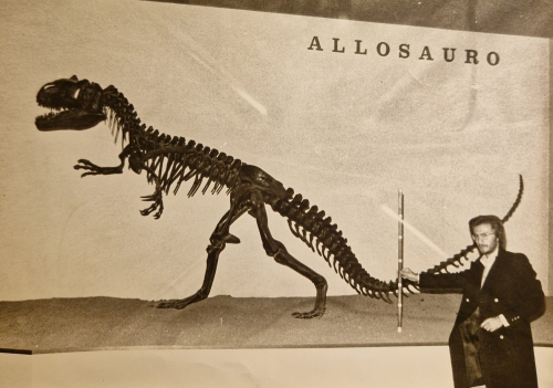 Museo di Storia Naturale di Milano, inaugurazione dello scheletro di Allosauro